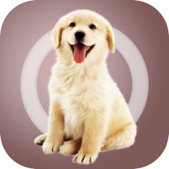 人狗交流器-狗语翻译器ios版 v1.1.2 iPhone版