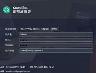 葡萄城报表工具