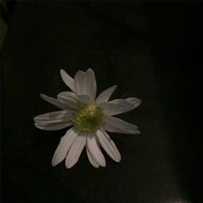 丧系心情不好伤感的背景图 人生百味随意就好