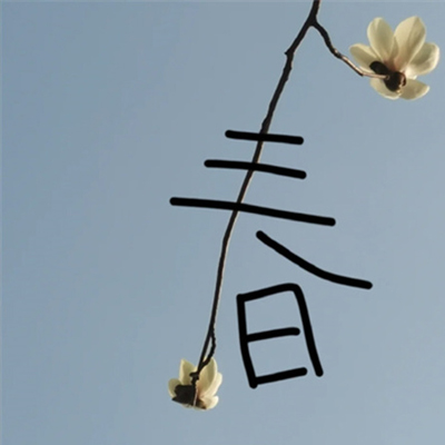 2024春季治愈又很唯美的背景图 捕捉和风细雨暖阳为你把春天延期