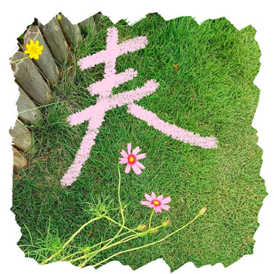 2024舒缓人心清新春季背景图亮眼 春风一吹头发丝都在开心
