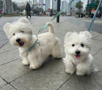 句句幸福快乐的美好签名 快乐不打烊的幸福签名