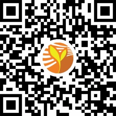 麦芽说英语微信小程序入口
