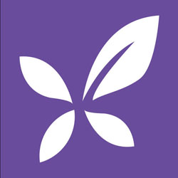 丁香医生+小程序入口